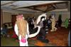 [RyuRaccoon FC2008 0764]