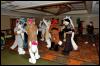 [RyuRaccoon FC2008 0772]