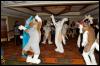 [RyuRaccoon FC2008 0774]