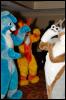 [RyuRaccoon FC2008 0780]