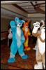 [RyuRaccoon FC2008 0781]