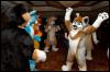 [RyuRaccoon FC2008 0794]