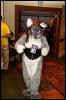 [RyuRaccoon FC2008 0801]