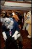 [RyuRaccoon FC2008 0805]