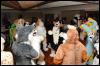 [RyuRaccoon FC2008 0818]