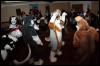 [RyuRaccoon FC2008 0831]