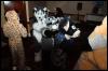 [RyuRaccoon FC2008 0845]