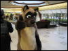 [BaltoWoof FC2008 010]