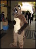 [BaltoWoof FC2008 015]