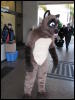 [BaltoWoof FC2008 016]