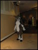 [BaltoWoof FC2008 030]