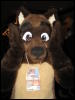 [BaltoWoof FC2008 040]