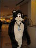 [BaltoWoof FC2008 057]