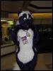 [BaltoWoof FC2008 065]