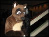 [BaltoWoof FC2008 073]