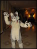 [BaltoWoof FC2008 081]