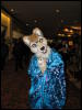 [BaltoWoof FC2008 158]