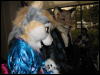 [BaltoWoof FC2008 160]