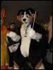 [BaltoWoof FC2008 176]