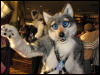 [BaltoWoof FC2008 180]