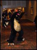 [Gorn FC2008 013]