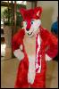 [RyuRaccoon FC2008 0016]