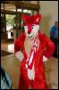 [RyuRaccoon FC2008 0017]