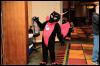 [RyuRaccoon FC2008 0023]