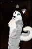 [RyuRaccoon FC2008 0026]