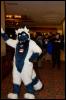 [RyuRaccoon FC2008 0042]