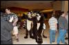 [RyuRaccoon FC2008 0049]