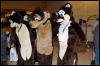 [RyuRaccoon FC2008 0050]