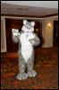 [RyuRaccoon FC2008 0054]