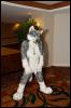 [RyuRaccoon FC2008 0055]