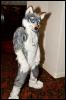 [RyuRaccoon FC2008 0065]