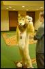 [RyuRaccoon FC2008 0078]