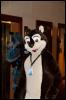 [RyuRaccoon FC2008 0086]