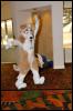 [RyuRaccoon FC2008 0091]