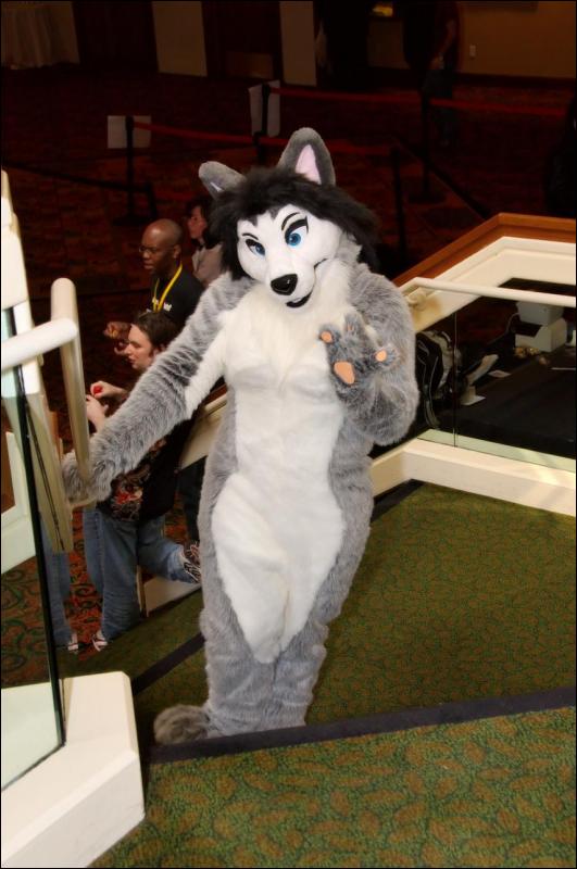 [RyuRaccoon_FC2008_0092.jpg]