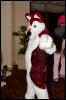 [RyuRaccoon FC2008 0103]