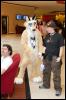 [RyuRaccoon FC2008 0116]