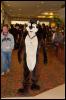 [RyuRaccoon FC2008 0123]