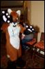 [RyuRaccoon FC2008 0125]