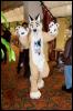 [RyuRaccoon FC2008 0153]