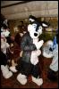 [RyuRaccoon FC2008 0246]