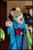 [RyuRaccoon FC2008 0270]