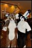 [RyuRaccoon FC2008 0304]