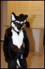 [RyuRaccoon FC2008 0335]