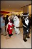 [RyuRaccoon FC2008 0339]