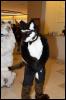 [RyuRaccoon FC2008 0340]